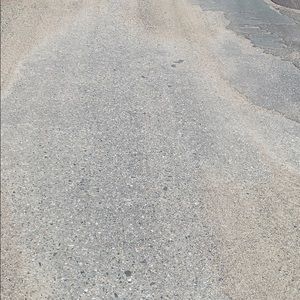 Meet your Posher, Lillian